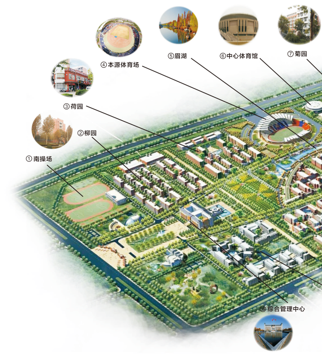 左图
